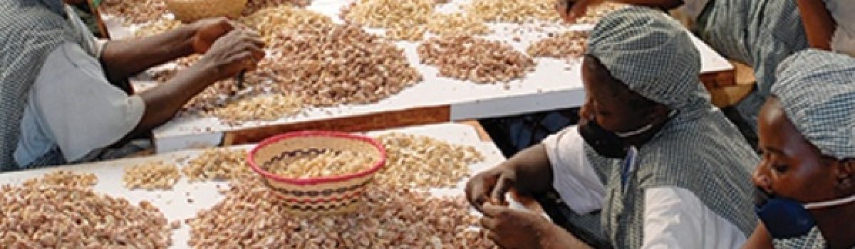 Côte d’Ivoire Launches First Agricultural Commodities Exchange in West Africa