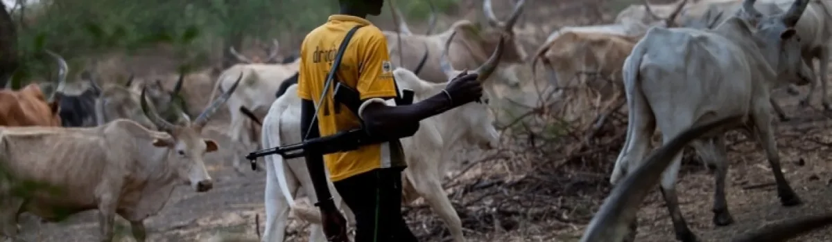 Deadly Attacks by Suspected Herders in Nigeria’s Benue State Kill Over 40