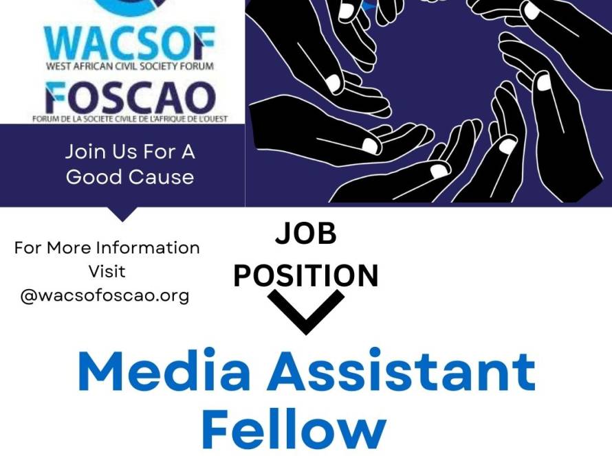 Volunteer Media Assistant Fellow  Needed!